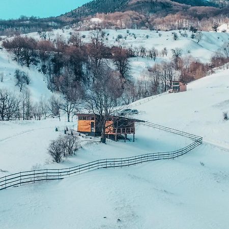 Utopia By Noratlas Heritage - Adults Only Buzău Dış mekan fotoğraf
