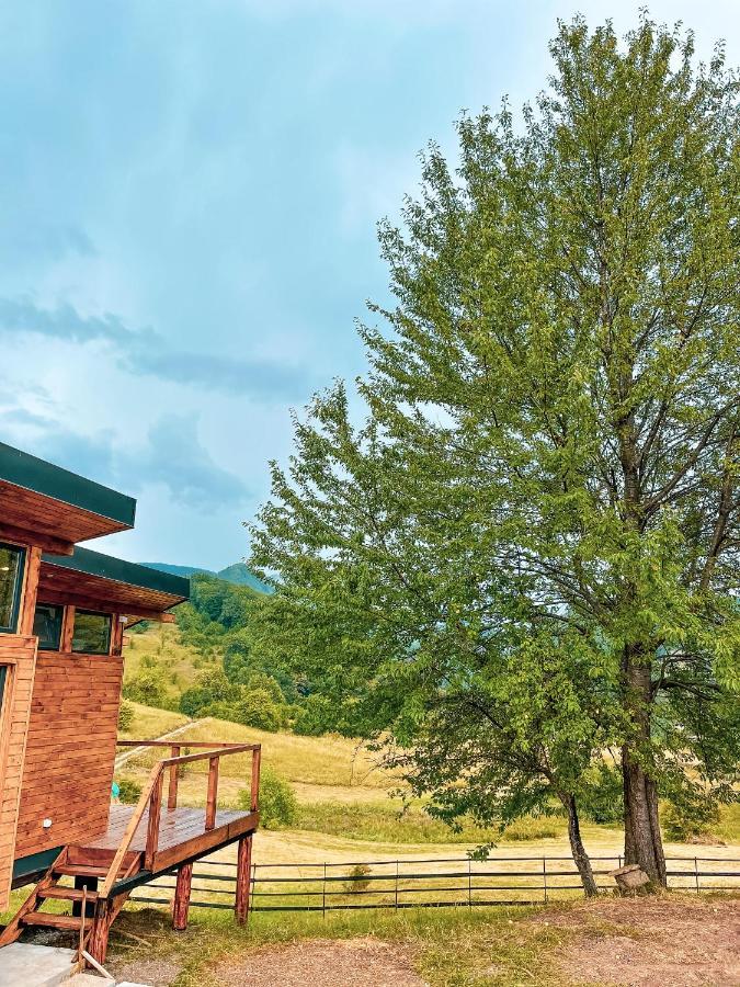 Utopia By Noratlas Heritage - Adults Only Buzău Dış mekan fotoğraf