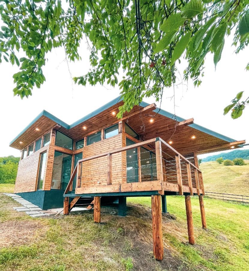 Utopia By Noratlas Heritage - Adults Only Buzău Dış mekan fotoğraf
