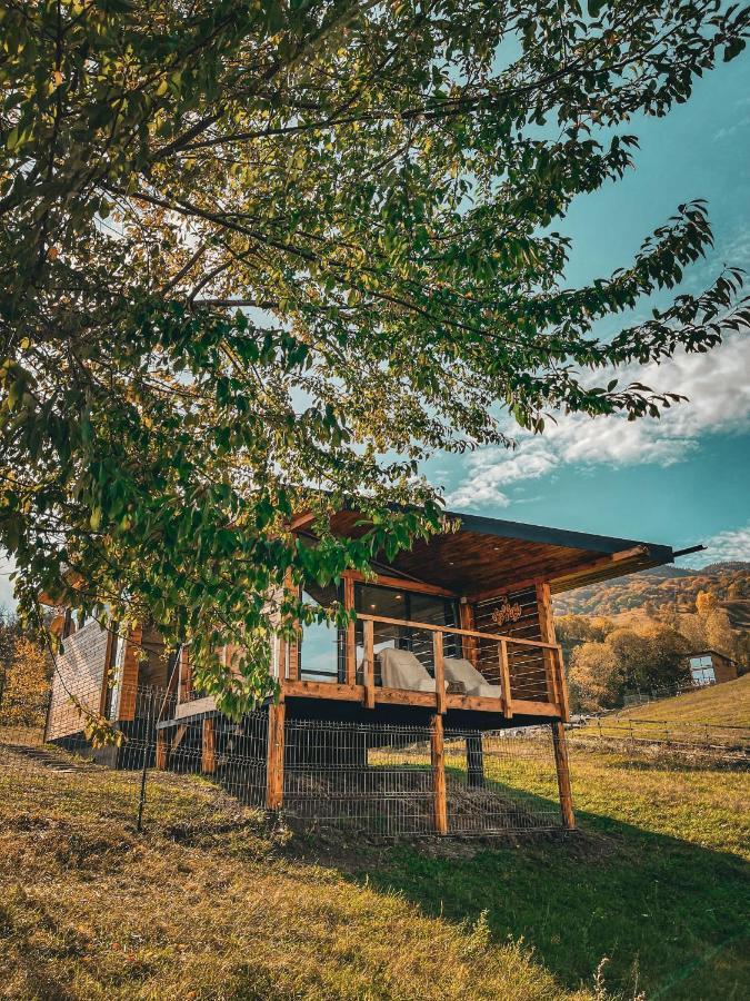 Utopia By Noratlas Heritage - Adults Only Buzău Dış mekan fotoğraf